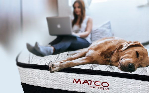 Euro Top Mattress - Comfortable Mattress!